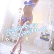 ヒメ日記 2026/02/18 13:15 投稿 モモ 妖精（ようせい）