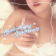 ヒメ日記 2026/02/20 14:13 投稿 モモ 妖精（ようせい）