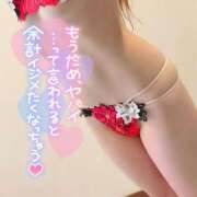 ヒメ日記 2026/05/11 11:05 投稿 モモ 妖精（ようせい）