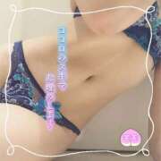 ヒメ日記 2026/06/13 19:55 投稿 モモ 妖精（ようせい）