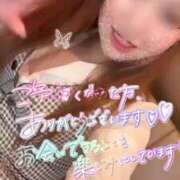 ヒメ日記 2026/08/03 08:25 投稿 モモ 妖精（ようせい）