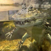 ヒメ日記 2025/07/22 10:26 投稿 みおり WHITE(ホワイト)