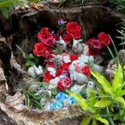 ヒメ日記 2025/08/10 13:25 投稿 るい 妖精（ようせい）