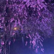 ヒメ日記 2026/03/28 09:58 投稿 るい 妖精（ようせい）