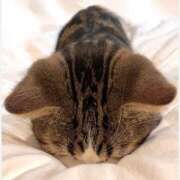 ヒメ日記 2025/06/14 10:36 投稿 小泉【こいずみ】 人妻日和(久喜)