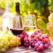 ヒメ日記 2025/10/07 09:47 投稿 小泉【こいずみ】 人妻日和(久喜)