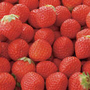 ヒメ日記 2026/01/16 19:45 投稿 小泉【こいずみ】 人妻日和(久喜)