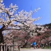 ヒメ日記 2026/02/16 09:57 投稿 小泉【こいずみ】 人妻日和(久喜)