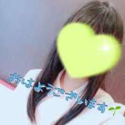 ヒメ日記 2025/06/15 09:49 投稿 ゆめ 妖精（ようせい）