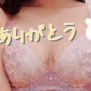 ヒメ日記 2025/09/20 11:31 投稿 ゆめ 妖精（ようせい）