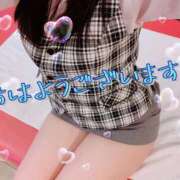 ヒメ日記 2025/10/05 08:34 投稿 ゆめ 妖精（ようせい）