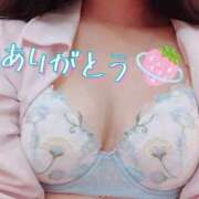 ゆめ 共通点🌟 妖精（ようせい）