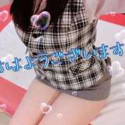 ヒメ日記 2026/06/14 10:00 投稿 ゆめ 妖精（ようせい）