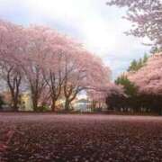 ヒメ日記 2026/03/29 15:05 投稿 らら 人妻小旅行