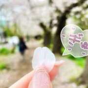 ヒメ日記 2026/04/16 17:02 投稿 らら 人妻小旅行