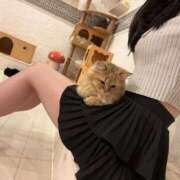 ヒメ日記 2025/10/18 12:23 投稿 ゆうり コスプレアカデミー