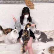 ヒメ日記 2025/11/23 12:04 投稿 ゆうり コスプレアカデミー