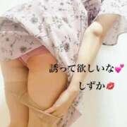 ヒメ日記 2025/08/26 16:02 投稿 しずか セレブクエスト-omiya-