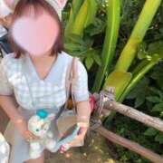 ヒメ日記 2025/07/13 08:45 投稿 なぎ アムールクリスタル