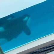 ヒメ日記 2025/07/25 09:05 投稿 なぎ アムールクリスタル