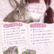 にゃん 到着してます🐱♡ 池袋あられ