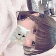 ヒメ日記 2025/11/19 00:40 投稿 ましろ 逆バニーメンズエステ とろとろオイルSPA