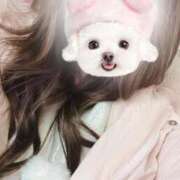 ヒメ日記 2026/02/06 22:50 投稿 ましろ 逆バニーメンズエステ とろとろオイルSPA