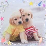 ヒメ日記 2025/08/16 12:04 投稿 有馬優(ありまゆう) 五十路マダムエクスプレス厚木店(カサブランカグループ)