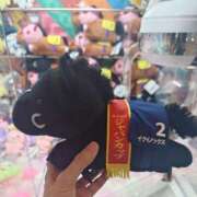 ヒメ日記 2025/09/03 11:08 投稿 有馬優(ありまゆう) 五十路マダムエクスプレス厚木店(カサブランカグループ)