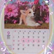 ヒメ日記 2025/09/06 13:40 投稿 有馬優(ありまゆう) 五十路マダムエクスプレス厚木店(カサブランカグループ)