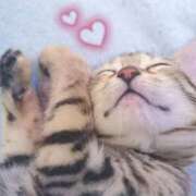 ヒメ日記 2025/09/17 01:18 投稿 有馬優(ありまゆう) 五十路マダムエクスプレス厚木店(カサブランカグループ)