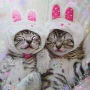 有馬優(ありまゆう) 17日(水)のありがとう 五十路マダムエクスプレス厚木店(カサブランカグループ)