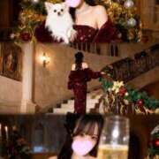 ヒメ日記 2025/12/25 08:50 投稿 るる ワレメ舐められ学院 秋葉原校