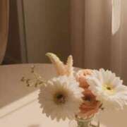 ヒメ日記 2026/09/15 13:54 投稿 凛花【りんか】 輝女
