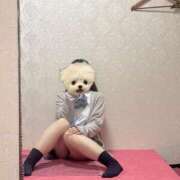 ヒメ日記 2025/07/11 14:45 投稿 ひまり 萌えコス