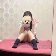 ヒメ日記 2026/04/18 23:01 投稿 ひまり 萌えコス