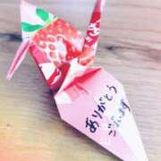 ヒメ日記 2025/11/01 18:18 投稿 若菜 高津角えび