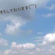 ヒメ日記 2025/11/14 20:08 投稿 若菜 高津角えび