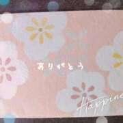 若菜 11/28（土）のお礼 高津角えび