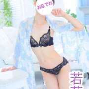 ヒメ日記 2025/12/27 15:28 投稿 若菜 高津角えび