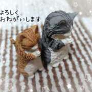 若菜 2月の出勤予定 高津角えび