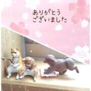 若菜 2/6（金）のお礼 高津角えび