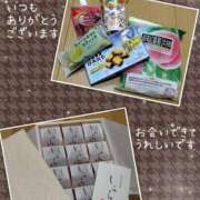 ヒメ日記 2026/07/20 15:58 投稿 若菜 高津角えび