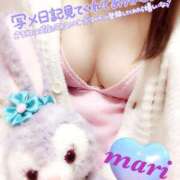 ヒメ日記 2025/11/14 08:21 投稿 真田まり セレブ Rex