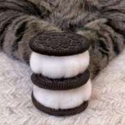 ヒメ日記 2025/07/18 11:12 投稿 ゆみ 福盛