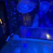 ヒメ日記 2025/08/17 10:30 投稿 ゆみ 福盛