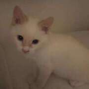 ヒメ日記 2025/09/05 11:10 投稿 ゆみ 福盛