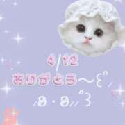 ヒメ日記 2026/04/12 19:51 投稿 めぐ ぽちゃ巨乳専門　新大久保・新宿歌舞伎町ちゃんこ