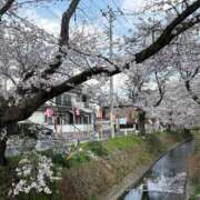 ヒメ日記 2026/04/12 20:02 投稿 めぐ ぽちゃ巨乳専門　新大久保・新宿歌舞伎町ちゃんこ