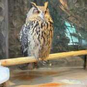 ヒメ日記 2026/04/19 15:57 投稿 めぐ ぽちゃ巨乳専門　新大久保・新宿歌舞伎町ちゃんこ